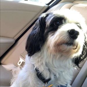 Meet your Posher, Veronica